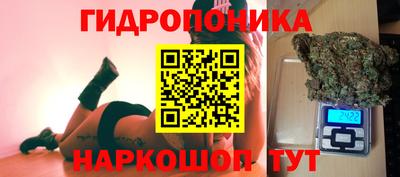 apvp Севастополь