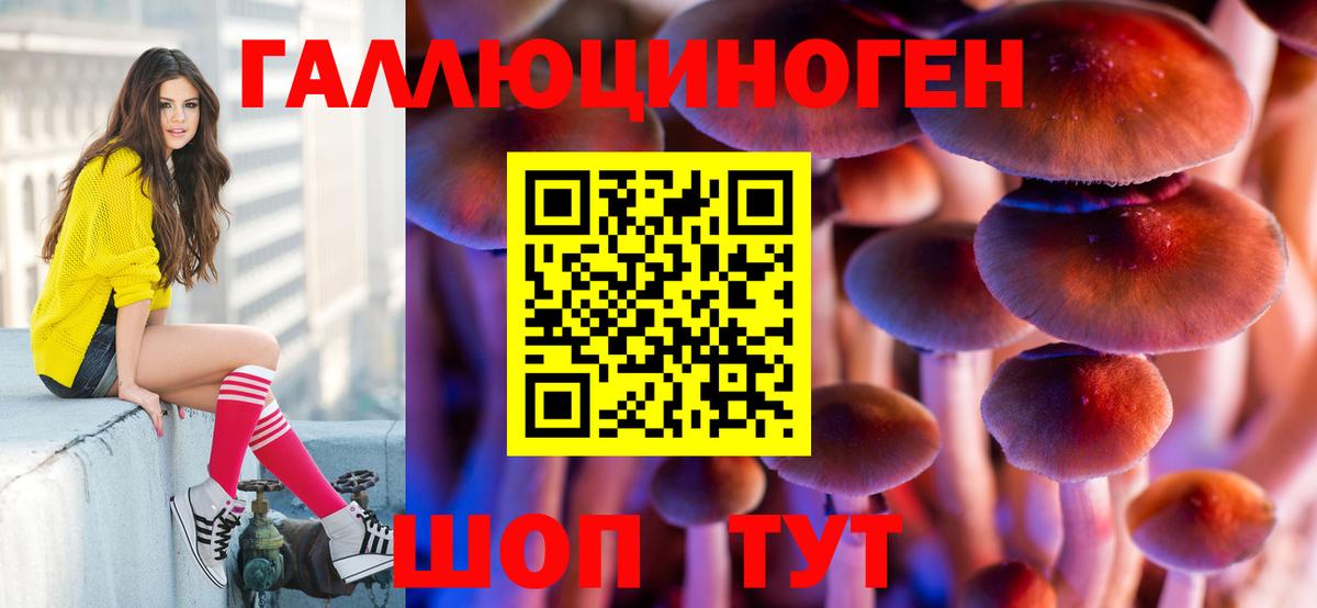 Артёмовский  Псилоцибиновые грибы Psilocybine cubensis  Вход с VPN 